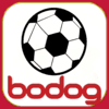 Logo da BODG